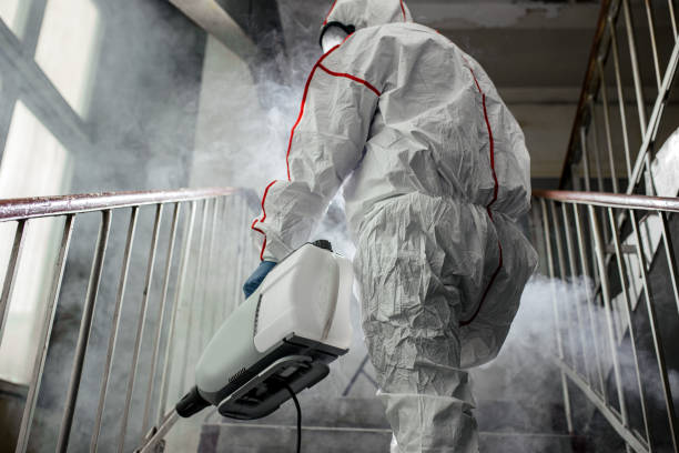 Best Dehumidification Services  in Manawa, WI